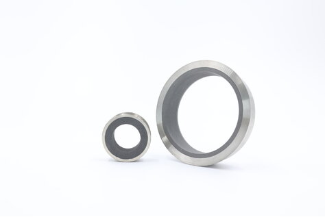 Encapsulated rings and bearings